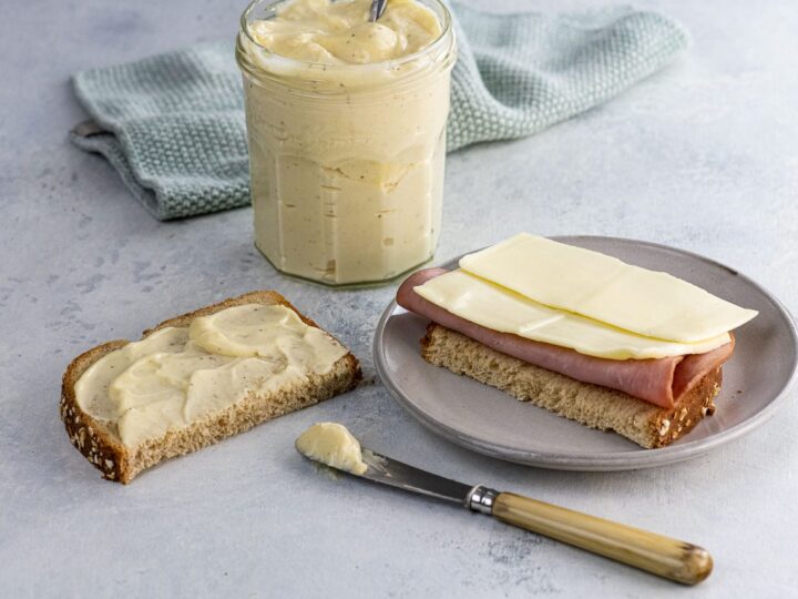 Mayonnaise for food industry